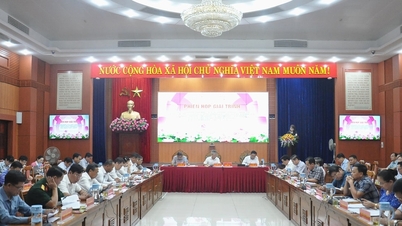 광남, 2024년 PAR 지수 상향 조정, SIPAS 지수 하향 조정