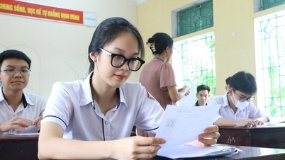 University abolishes rule of adding 3 points for candidates with IELTS from 4.0 after controversy