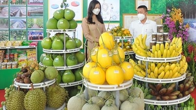 Tăng xúc tiến thương mại, chuyển giao tiến bộ khoa học, công nghệ