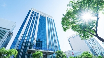 Sacombank có chia cổ tức trong năm nay?