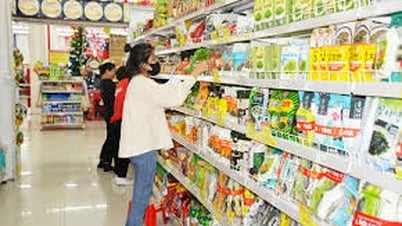 Hung Yen: Total retail sales of goods and consumer service revenue in March increased by 9.12%