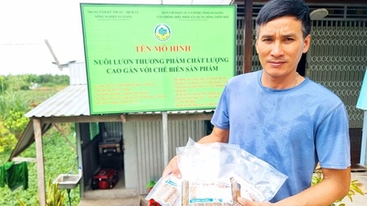 ការអភិវឌ្ឍ "អន្ទង់ OCOP"
