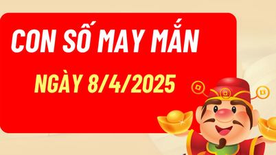 Con số may mắn theo 12 con giáp hôm nay 8/4/2025