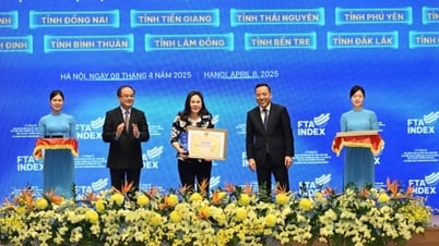 Quang Ninh ជាប់ចំណាត់ថ្នាក់ទី 13 ក្នុងចំណាត់ថ្នាក់ FTA 2024