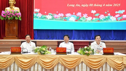 Thông báo kết quả Hội nghị lần thứ 19 Ban Chấp hành Đảng bộ tỉnh Long An khóa XI, nhiệm kỳ 2020-2025