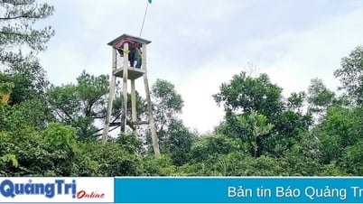 Quang Tri town focuses on forest protection and development