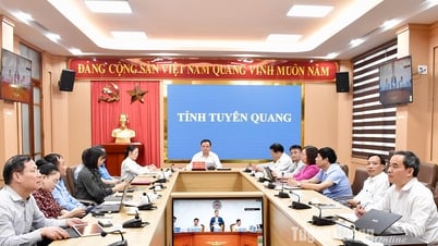 Họp bàn xử lý các công trình, nhà đất là tài sản công khi sắp xếp, tinh gọn bộ máy