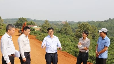 Dak Nong 건설국 국장이 여러 교통 프로젝트 진행 상황을 점검하고 있습니다.