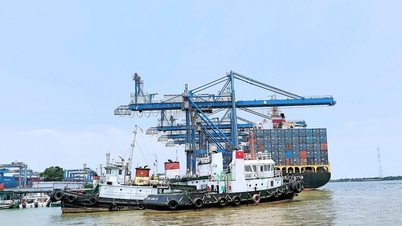 Nâng cao năng lực xuất khẩu