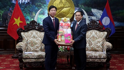 Dong Thap - Salavan: Strengthening friendship and cooperation for development