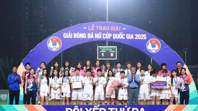 ハナムは2025年全国女子サッカーカップで好成績を収めた