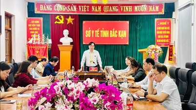 Hoàn thành hồ sơ bệnh án điện tử tại Bệnh viện Đa khoa tỉnh và Trung tâm Y tế huyện/thành phố trước ngày 30/9/2025