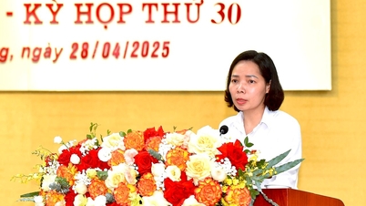 2 phường Lê Thanh Nghị, Nguyễn Trãi dự kiến có dân số, diện tích lớn nhất Hải Dương