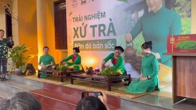 Enjoy Tan Cuong tea (Thai Nguyen) at the farmstay