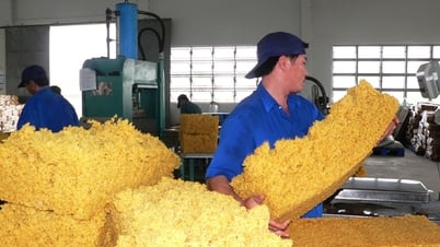 Thách thức việc làm trong thời đại số