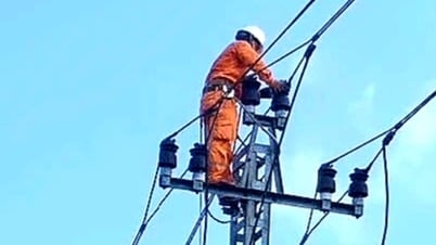 푸바이 산업단지, 안전하고 안정적인 전력 공급 및 유지보수에 집중