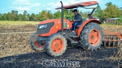Summer-autumn rice production direction with profit over 30%
