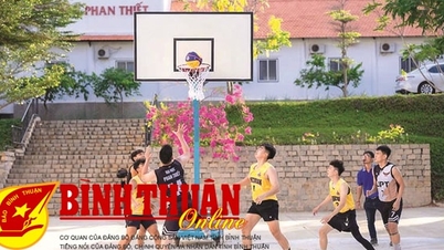 Ngày hội thể thao rực rỡ sắc màu