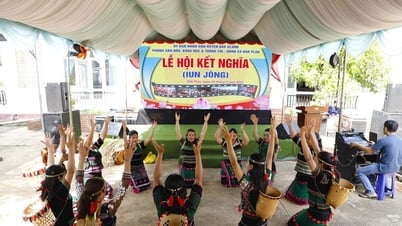 ពិធីបុណ្យភូមិភ្លោះនៅ Dak Glong