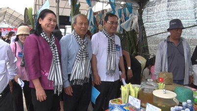 Vice Chairwoman of the Provincial People's Committee Nguyen Thi Be Muoi attended the "Coastal Countryside Market" session