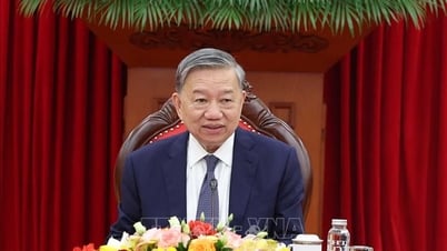 « Le Vietnam est le partenaire clé de l'UE en Asie du Sud-Est »