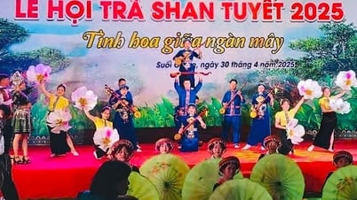 Suoi Giang eröffnet freudig das Shan Tuyet Teefestival 2025