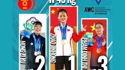 Việt Nam có HCĐ giải cử tạ châu Á 2025