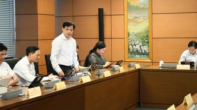 資産所有と公的資金管理の透明性