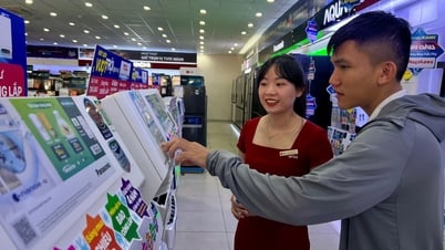 El mercado de productos de refrigeración y protección solar está en pleno auge.