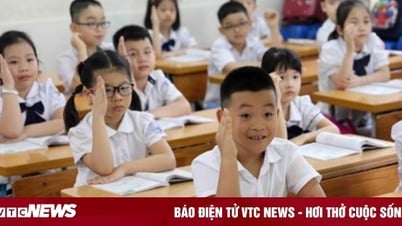 Вьетнамские ученики начальной школы входят в число лучших в Юго-Восточной Азии по математике, чтению и письму.