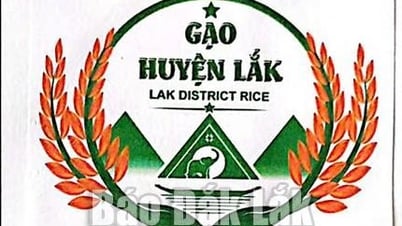 Cấp giấy chứng nhận đăng ký nhãn hiệu gạo huyện Lắk