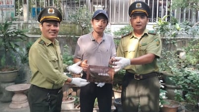 รับมังกรดินที่หายากและล้ำค่า
