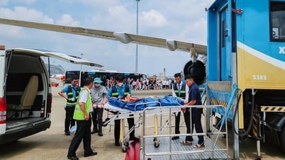 طفل روسي يتعرض لحادث خطير ويتم إنقاذه بشكل خاص في فيتنام