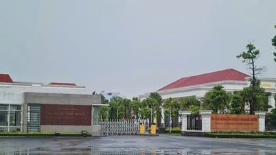Consider disciplining a series of officials of Long Xuyen City and Chau Phu District related to land