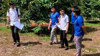 Liên kết chuỗi giá trị nông sản bền vững