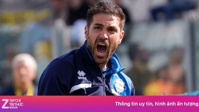 តើ Fàbregas នឹងក្លាយជា 'Xabi Alonso 2.0' ដែរឬទេ?