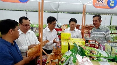 Ngày hội Hàng Việt về nông thôn - Sản phẩm OCOP Tri Tôn - An Giang