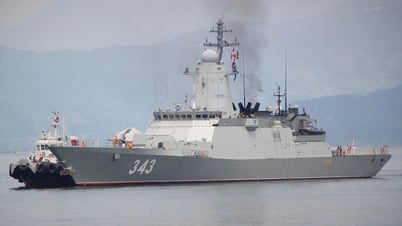 La flotte russe du Pacifique s'entraîne avec la marine vietnamienne