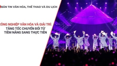 Bản tin VHTTDL: Người nổi tiếng - Trách nhiệm truyền thông và cái giá của niềm tin