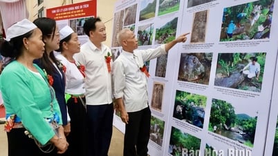 Di tích khảo cổ học cấp tỉnh bãi đá có hình khắc cổ tại suối Cỏ, xã Mỹ Thành