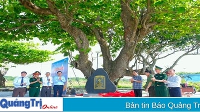 Di sản xanh nơi đảo tiền tiêu Cồn Cỏ
