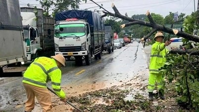 Mưa lớn kèm gió lốc tốc mái nhiều nhà dân ở Tuyên Quang