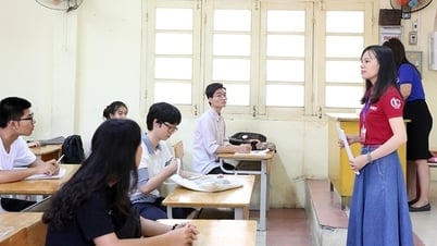 人道政策、教育の質の向上の促進