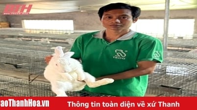 Bí thư chi bộ làm kinh tế giỏi