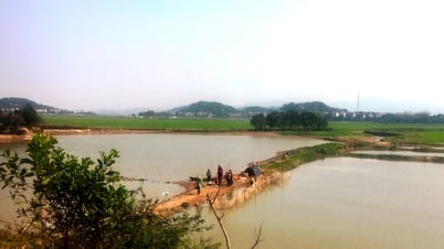 チリン社はフンダオ村の水産養殖場のインフラを改修するために約196億ドンを投資した。