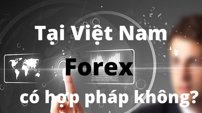 មិនមានជាន់ Forex ដែលមានអាជ្ញាប័ណ្ណនៅក្នុងប្រទេសវៀតណាមនៅឡើយទេ។