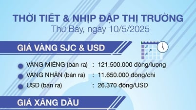 Thời tiết & nhịp đập thị trường 10/5