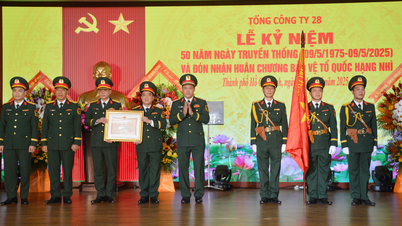 Tổng công ty 28: Nửa thế kỷ, một hành trình ghi dấu