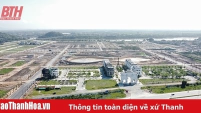 Equilibrar intereses en el mercado inmobiliario: lo fácil se vuelve difícil (Parte 1): Matar dos pájaros de un tiro