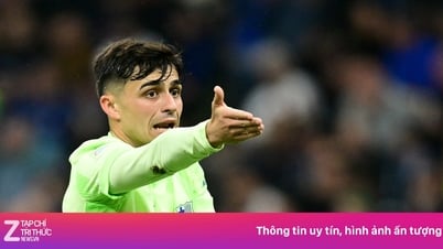Cường độ thi đấu khủng khiếp của Pedri